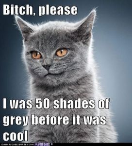 50-shades-of-grey-pictures-11